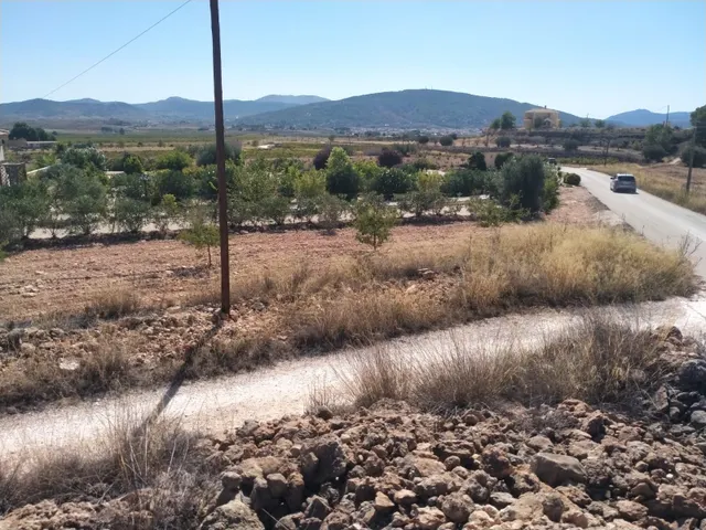 Villa de Obra Nueva Llave en Mano en Pinoso – Exclusividad, Espacio y Confort en Plena Naturaleza — 29