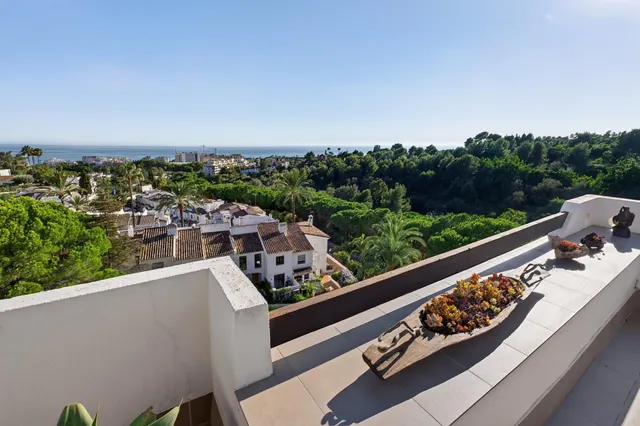 Hay quienes buscan las mejores vistas, y quienes deciden ser los dueños del horizonte. — 46