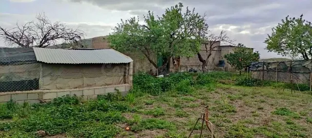 Finca agrícola y ganadera de 25.000 m2 con pozo propio, placas solares y plantación en producción en Gérgal — 10