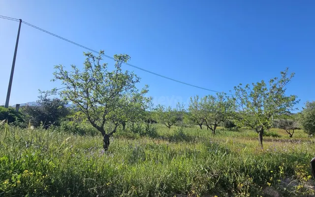 Se vende parcela rústica de 17.000 m2 en Corvera — 3