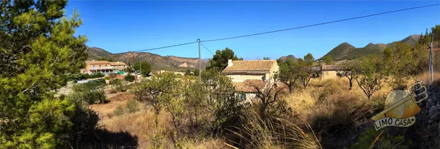 Auténtica casa para renovar en Ricote — 10