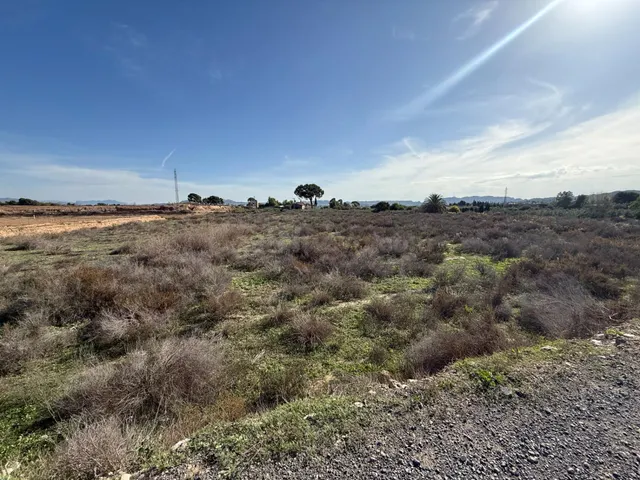 TERRENO RUSTICO EN TERMINO DE NOVELDA-ASPE (ALICANTE) - foto 5