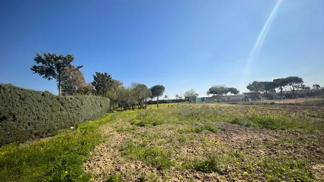 Terreno rural 10m² en alquiler - San Nicasio — 19