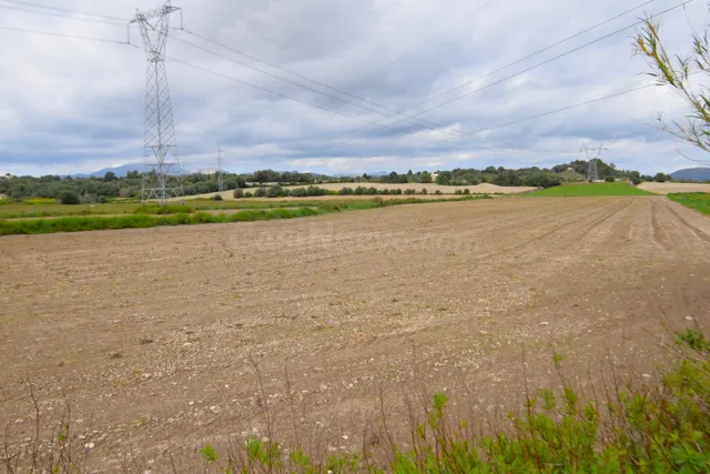 Finca rústica con proyecto aprobado para la construcción de  - foto 4