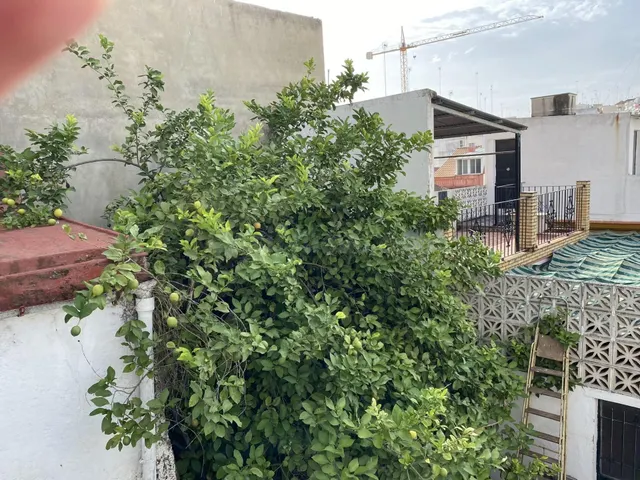 Casa para derribo o reforma integral cerca del centro - foto 4