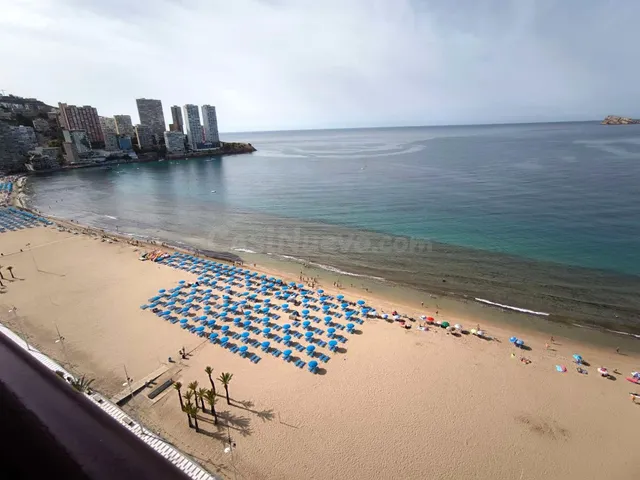 ESTUDIO REFORMADO EN PRIMERA LINEA DE BENIDORM - foto 2