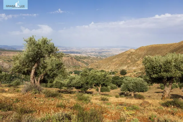 En Venta Maravilloso Paraje Natural, a medio camino entre Granada y Sierra Nevada, a veinte minutos en coche, desde cada una de ellas. — 17