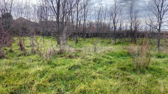 Terreno urbano en venta - Castilla y leon - foto 2