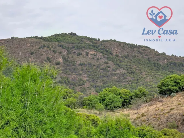 FINCA DE 10.400 M2 CON PISCINA EN SIERRA ESPUÑA — 120.000 € — 21