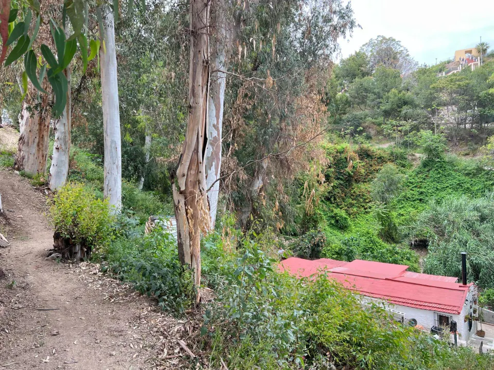 GRAN TERRENO AL LADO DE EL LIMONAR CON 970M2 + CASA DE 3 habitaciones