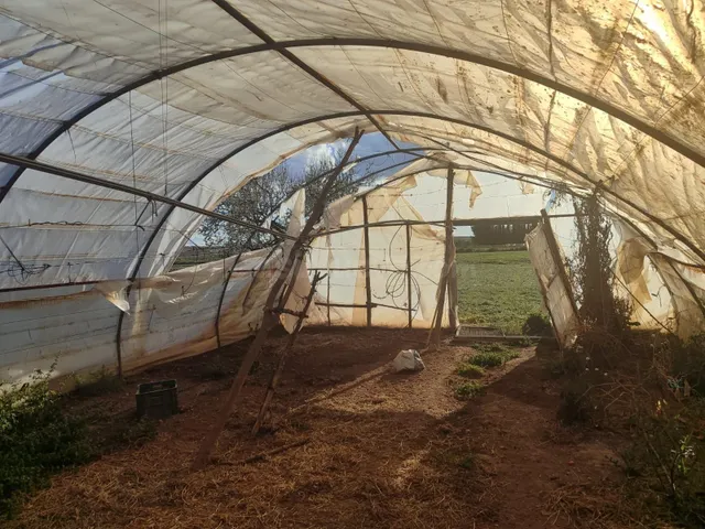 FINCA DE REGADÍO CON POZO PROPIO LEGALIZADO, CONSTRUCCIÓN E  - foto 3