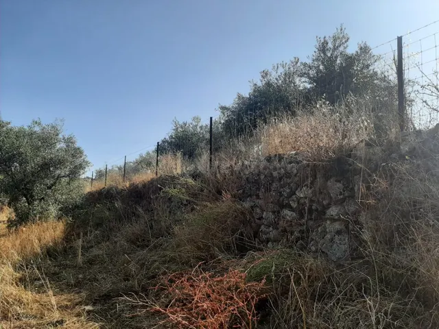 Parcela muy próxima al pueblo de Casas de Don Antonio - foto 5