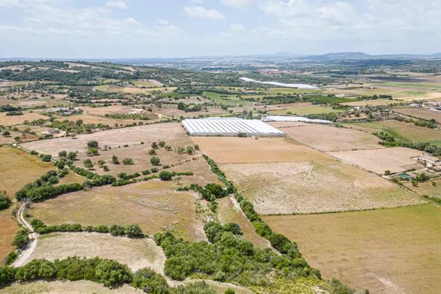 Suelo Rústico Urbanizable de 76.125 m2 — 12