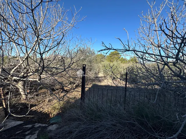 VENTA DE CHALET EN ASPE, ZONA CARRASCA — 11