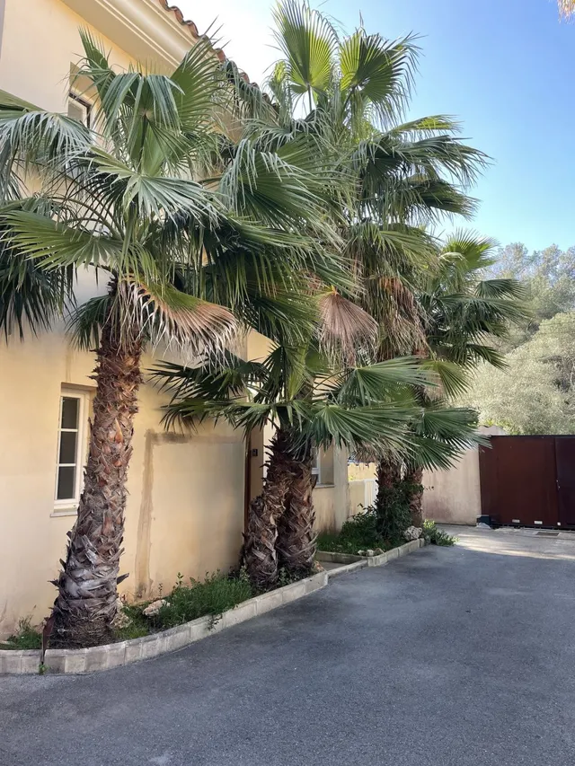 Casa 3 habitaciones 108m² en venta - Cala Murada — 31
