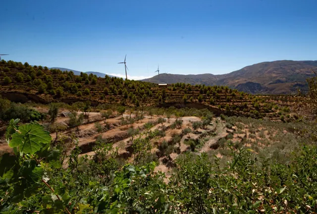ENCANTADOR CORTIJO CON VISTAS PANORÁMICAS EN LANJARÓN — 8