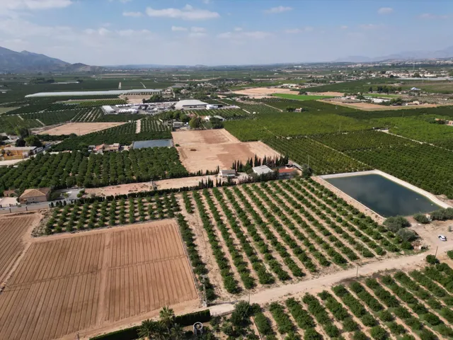 Oportunidad Inversión: Parcelas Rurales en Orihuela — 9