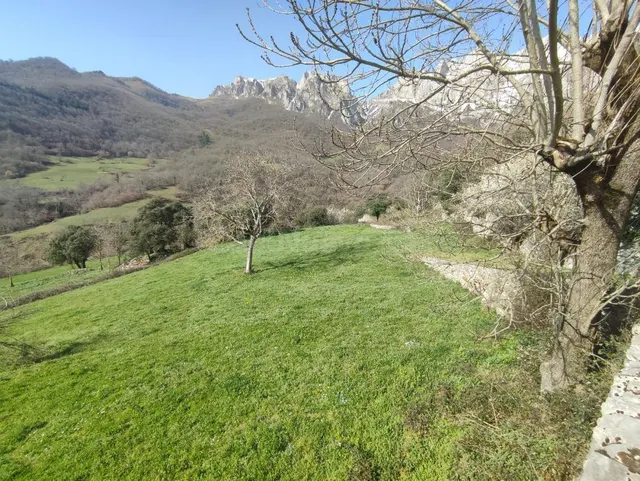 Finca rústica en venta - Picos de europa - foto 5