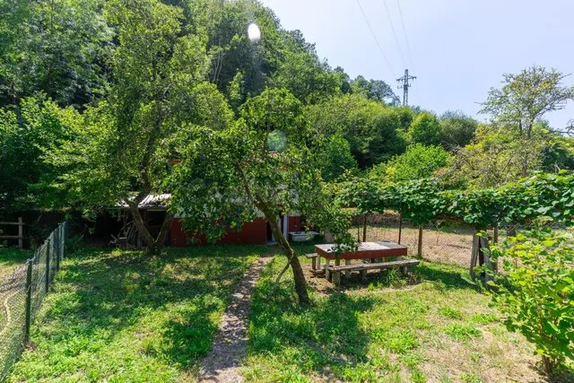 Casa con parcela ¡lista para entrar a vivir! - foto 4