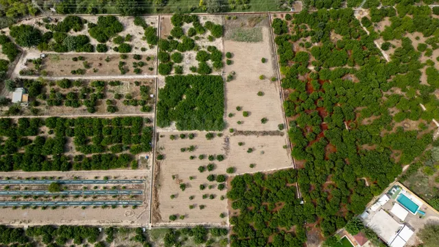 Terrenos Rústicos 2X1 — 2