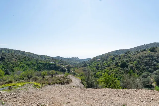 Terreno Rústico de 63.0000 metros cuadrados a dos km Añoreta - foto 2