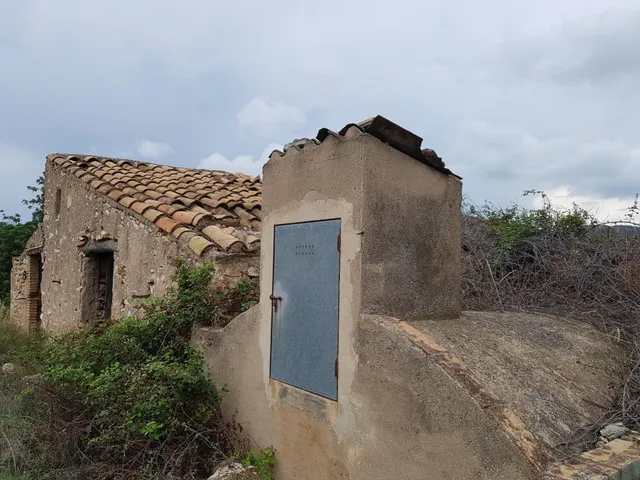 Finca Rústica de 6,5 hectáreas, plana, con casa de campo de 150 M2 — 9