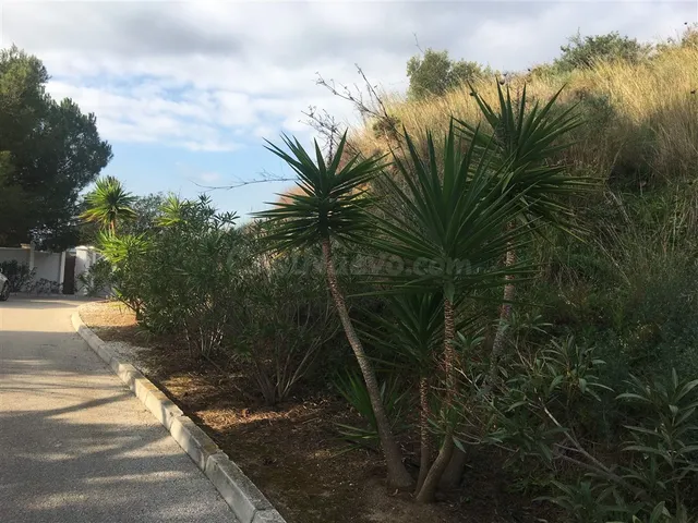 Parcela en venta - Riviera del sol - foto 4