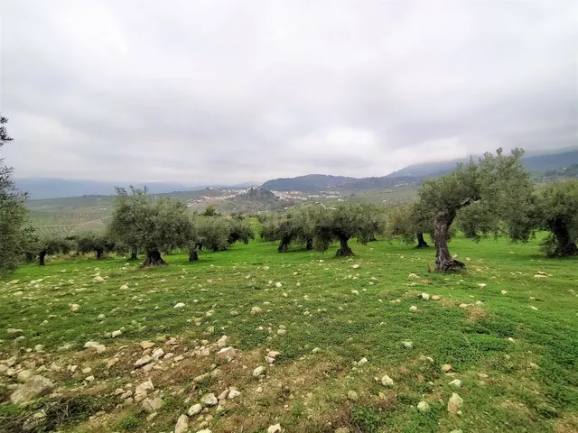 Espectacular finca en la localidad de Alozaina — 4