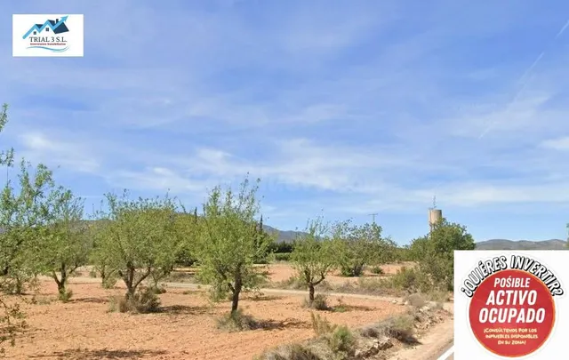 Venta de terreno rústico en Cheste (Valencia)
