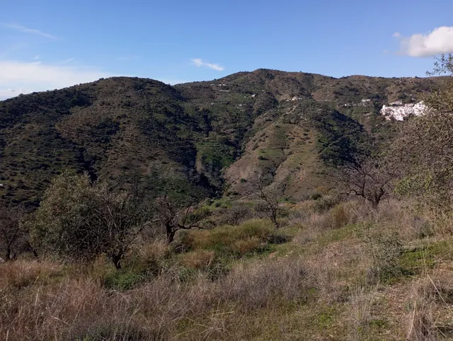 Terreno Rústico con Vistas Espectaculares en Totalán – Gran 
