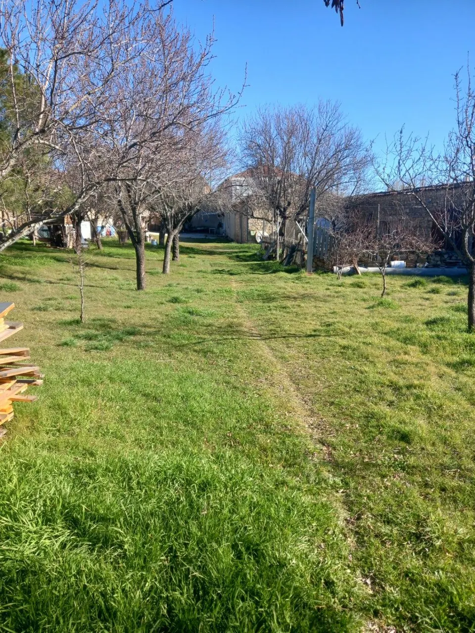 TAPIAS BELLIDO VENDE  PARCELA  EN SEGOVIA CON VISTAS AL ALCÁZAR.