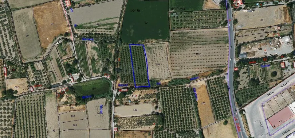 Terreno rustico a la venta en La Zubia (Granada)
