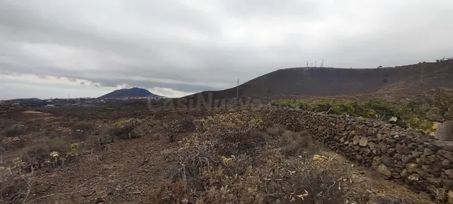 Terreno rústico agrario en Los Cuervos, Granadilla de Abona. - foto 3
