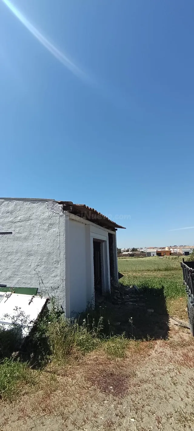 Terreno urbano de 3 hectáreas en Villamanrique de la Condesa - foto 3