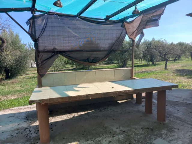 OCASION FINCA RUSTICA DE REGADIO CON VIVIENDA A 1,5 kM. DE MORA D´EBRE — 23