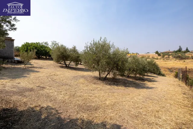 Encanto rústico con casita y olivos en Moraleja de Zafayona 🌿 — 25
