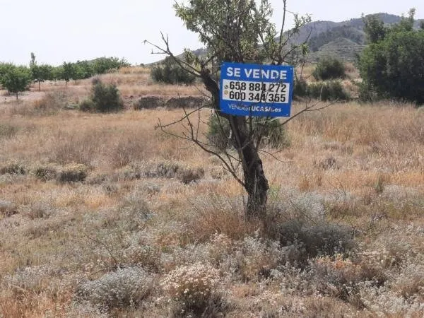 Terreno en la Alquebla