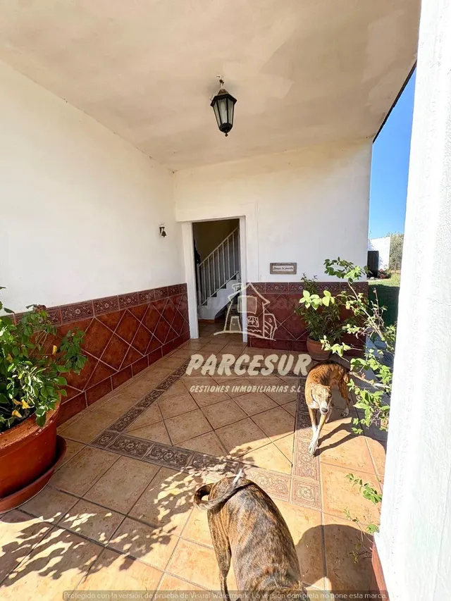 Casa de Campo en Ctra. de Palma del Río, Córdoba - foto 3