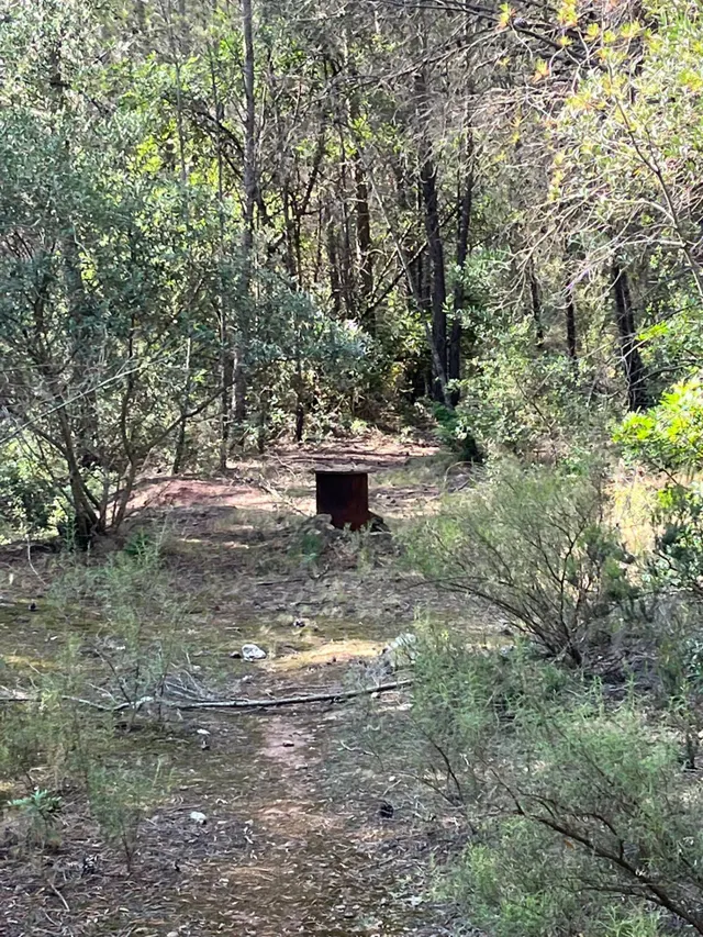 Terreno agrario en Mont-roig del camp, con barraca y pozo — 7