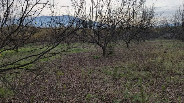 Parcela en venta - Puerto Sol-Los Almendros-El Tomillar — 13