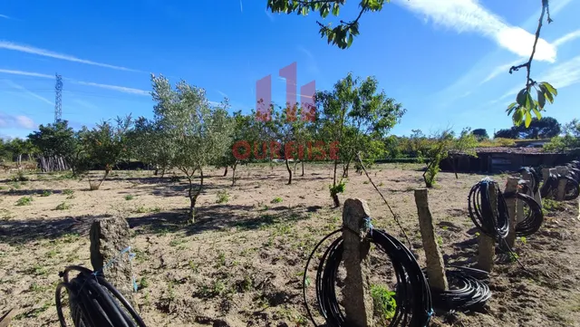 FINCA DE MÁS DE TRES MIL METROS CUADRADOS EN SAN CIBRAO DAS VIÑAS. — 10
