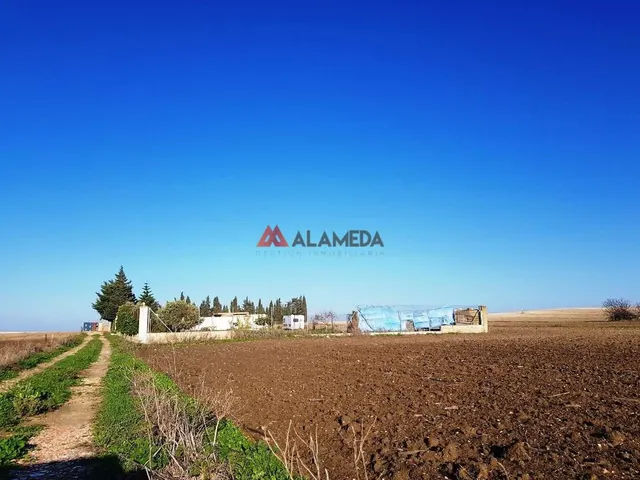 PARCELA SEGREGADA MIRALAMAR — 10