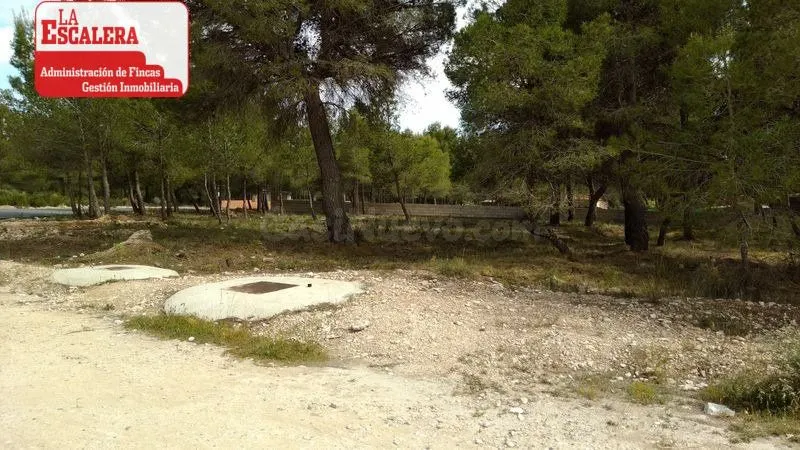 PARECELA A166. TEROL. TIBI