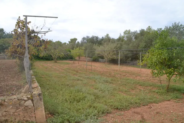 Finca rústica — 32