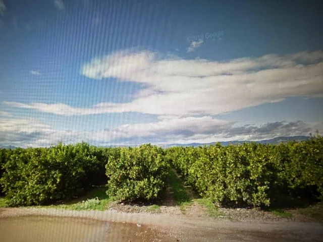 Terreno rústico con  caseta -  l’Hostalet, Traiguera  - Castellón — 7