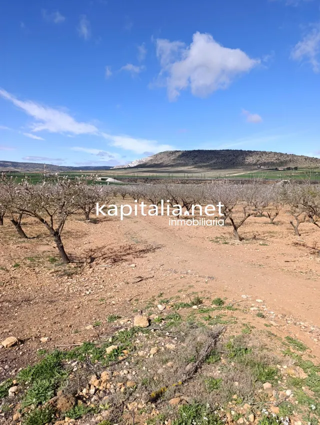 FINCA RUSTICA A LA VENTA — 4