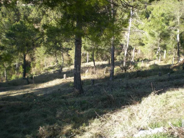 Solar en venta - foto 5