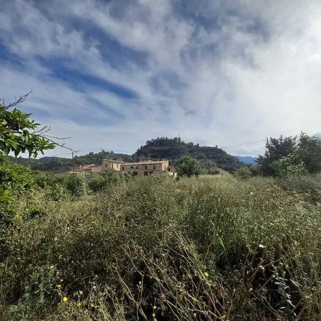 Finca rústica de 1.176 m2 con agua de riego a solo dos minut - foto 2
