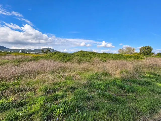 Finca rústica de 6.705 m2 en la zona de els ullals de baltasar, Amposta — 3