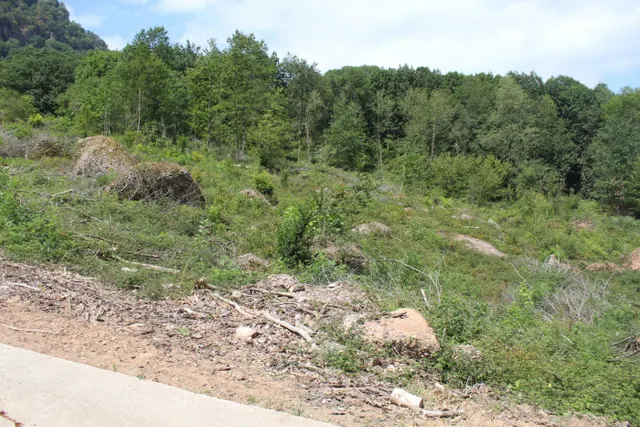 CASERIO CON TERRENO EN SUMBILLA — 15